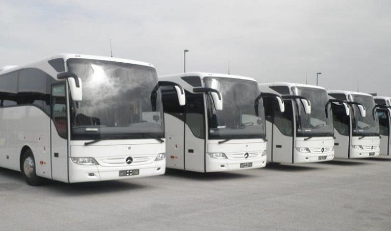 Europe: Bus company in Ireland in Ireland and Ireland